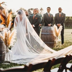 Cathedral ivory mantila veil